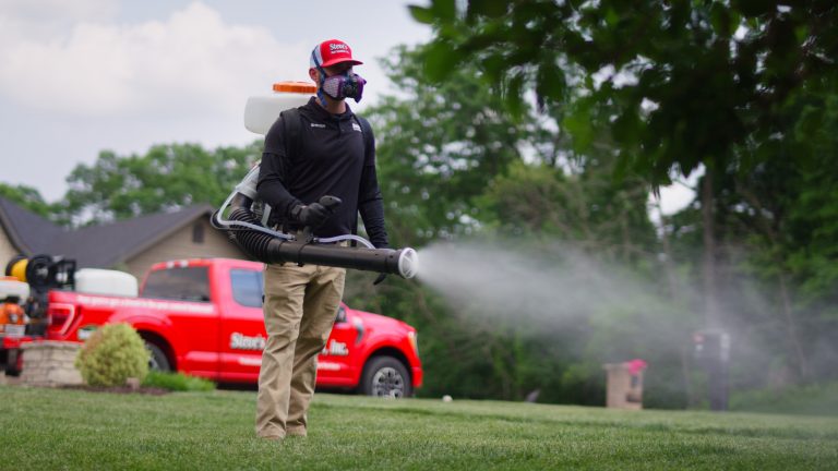 spc 5star2023 30 01 00 18 21